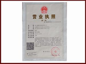 执照