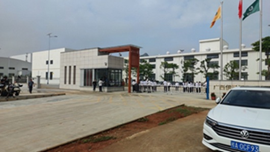 武鸣烟厂仓库弱电智能化系统工程